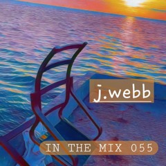 IN THE MIX 055
