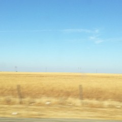 Bleak