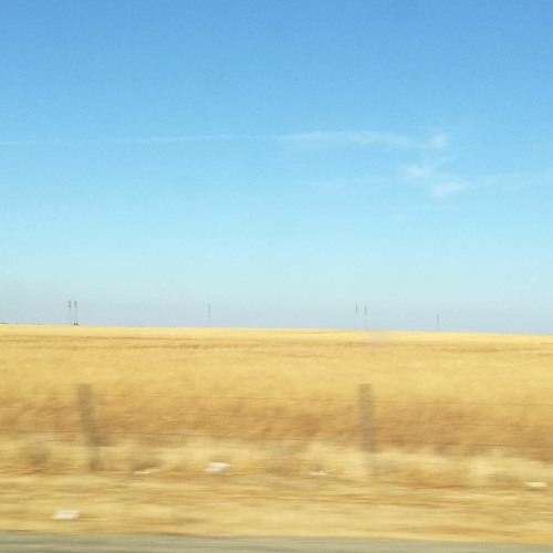 Bleak