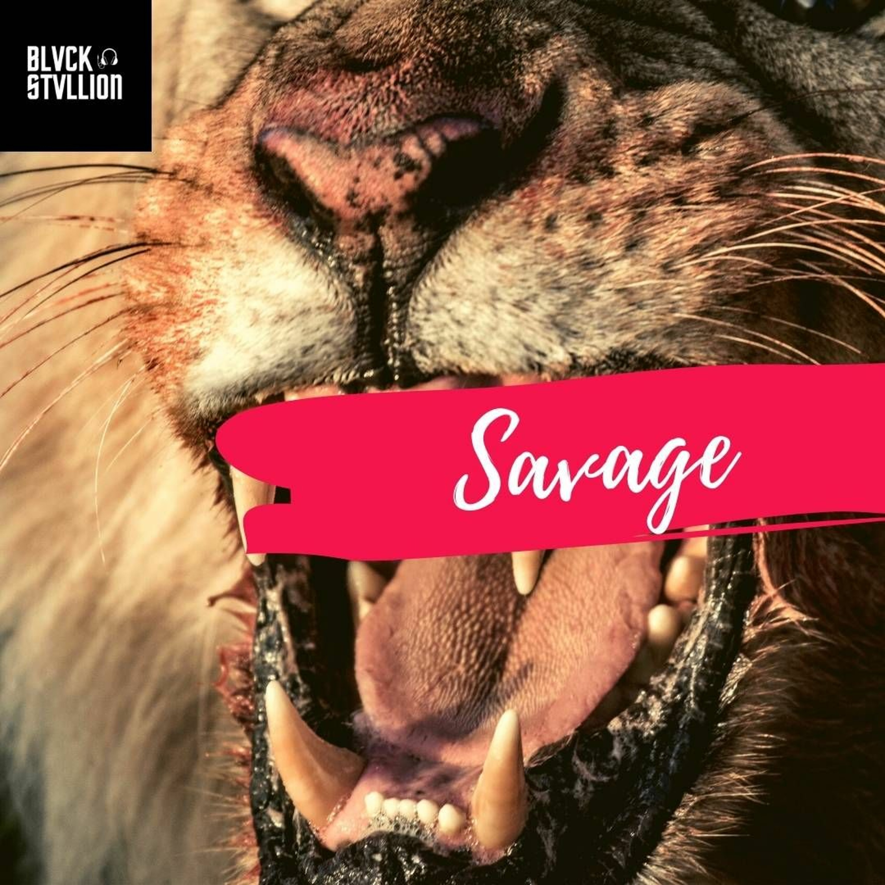Blvck Stvllion Beats