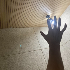 2024 11 21 start