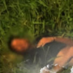 VÍDEO COMPLETO 18+ GAROTO DA TATUAGEM 745 PORTAL ZACARIAS