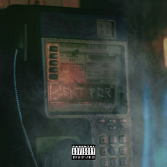 Fortunate (feat. Whoisbravy & Hobx)