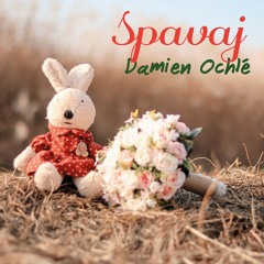 Spavaj