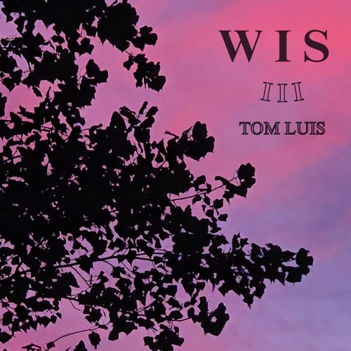 WisdomBloomsInGardensOfExperience