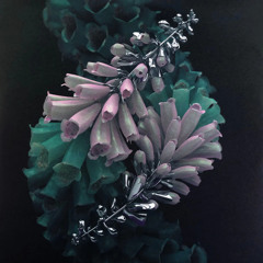 Flume - Helix (Sorbet Kid Dreamland House Edit)