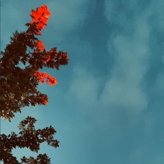 How can I deal with imposter syndrome when dating? / How can I have both space and connection?