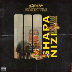 Shapanizi Freestyle<3 (Prod. By Mo On The Beat)