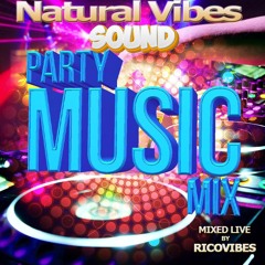 PARTY MUSIC MIX BY NATURAL VIBES SOUND