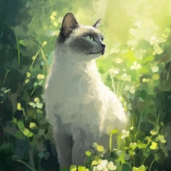 SOLACE