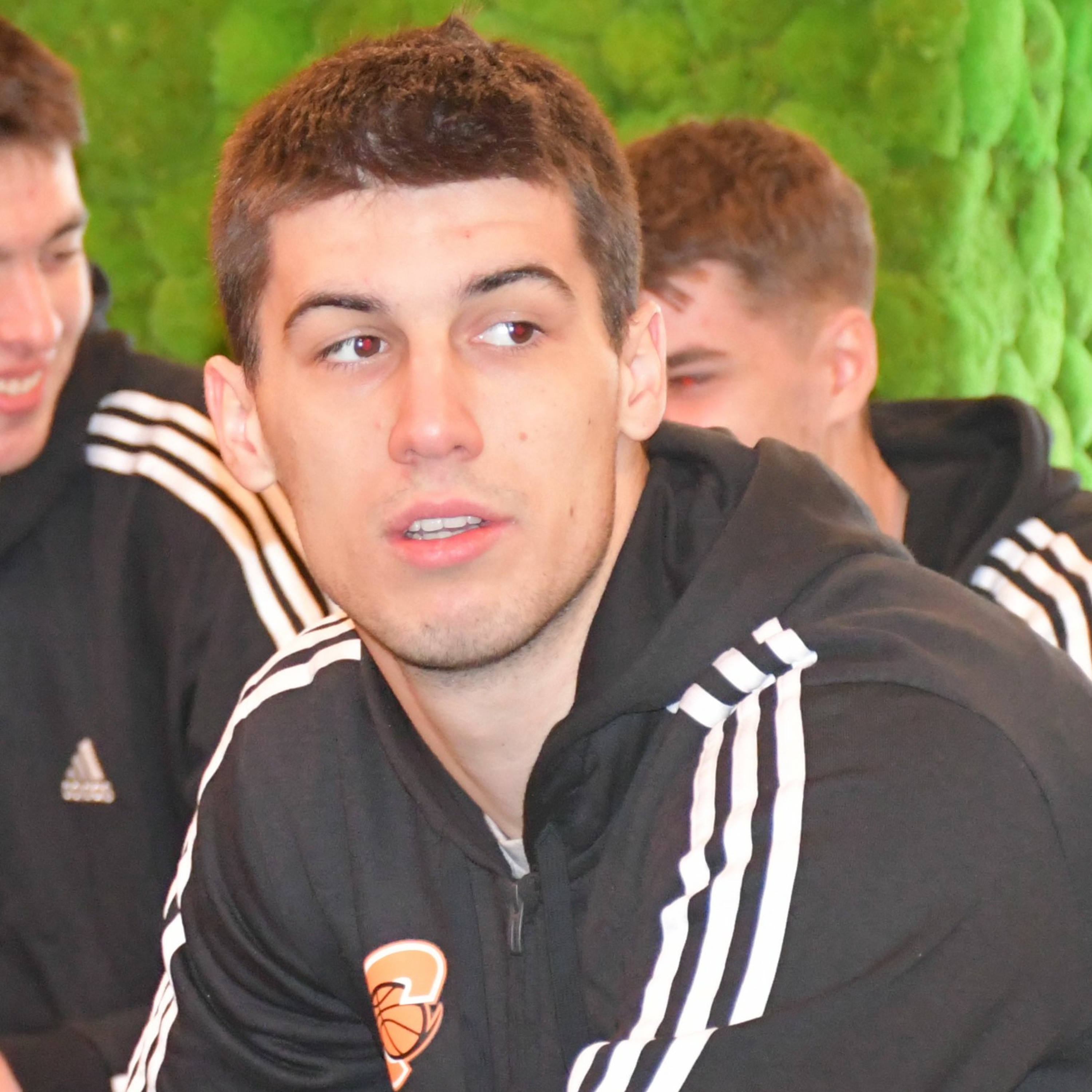 kkcedevita