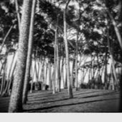 Ebeth Dawn - Two Silver Pine Trees