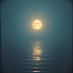 Moonlit Murmurs