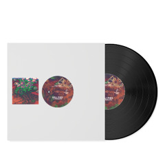 Rali Pibs - U Paradise - Weirdos inc. Records - Vinyl Previews