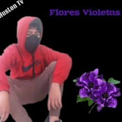 Flores Violetas