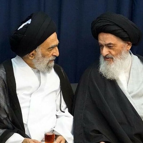 السيد هادي المدرسي