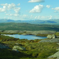 Yung Lean x Whitearmor Type Beat