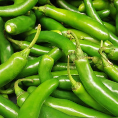 Serrano