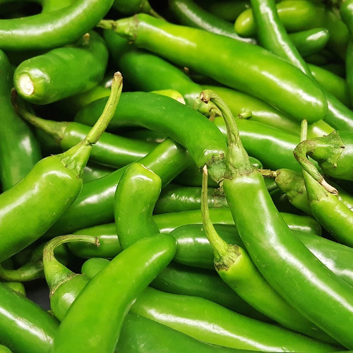 Serrano