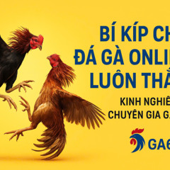 Trang công ty ga6789 - Công Cụ Cá Nhân Hóa việc Chơi Game & Cá Đổi Thưởng Tiện Lợi - Đánh Giá Tổng Quan Và Hướng Dẫn Sử Dụng Tối Ưu