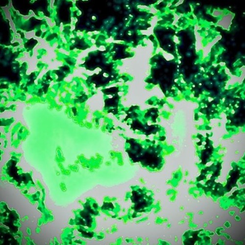 Toxic (collab KillaSoundBoy)
