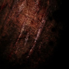 Hasib & Gholam - Nasor