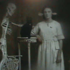 Lucretia    (c)    2025  Mutantblues Music  all rights reserved