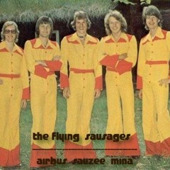 THE FLYING SAUSAGES - AIRBUS SAUZEE MINA