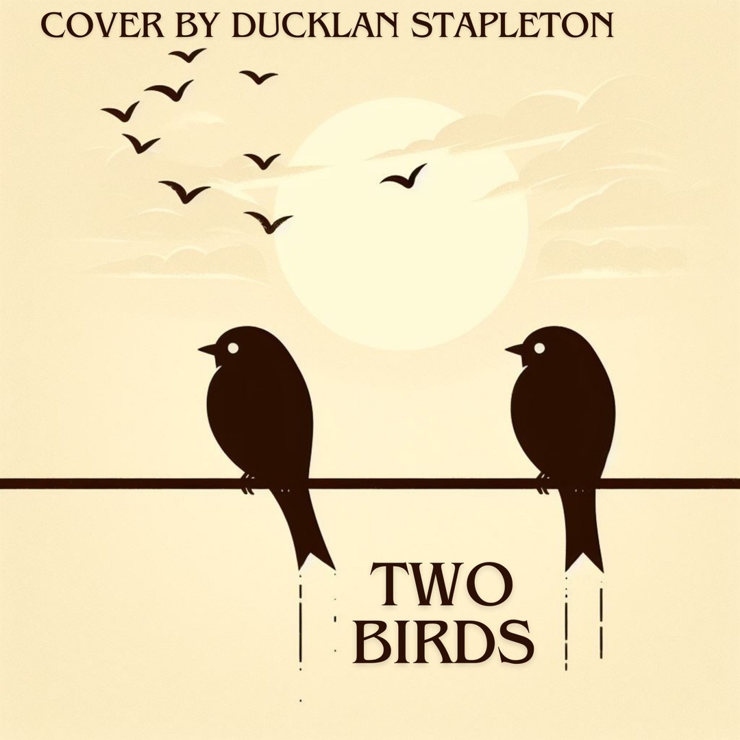 Stream Two Birds - Piano Cover By Ducklan Stapleton by Ducklan ...