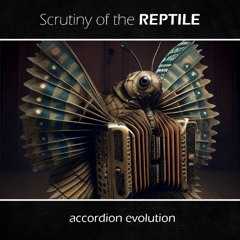 Accordion Evolution