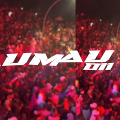 TRAVA E DESTRAVA - MC VUK VUK & SATI MARCONEX (DJ MAU MAU 011).wav