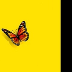 BM999 - 3 LIFE Story's (prod. M0nty Beats)