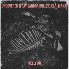 Bringin' On The Heartbreak (Def Leppard Cover)