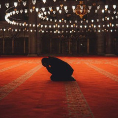 سورة الاحزاب| ش.وليد السعيد