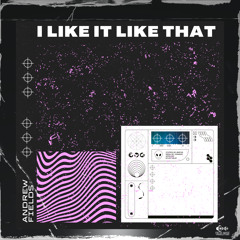 I Like It Like That (Extended Mix)