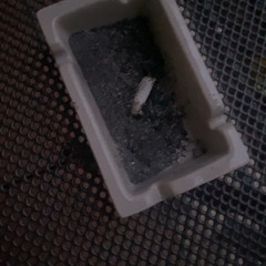 get high