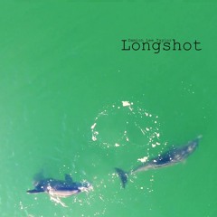 Longshot