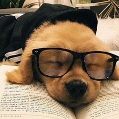 yt1s.com - tigini tigini titi tigini titi titi  kikimoteleba edit audio