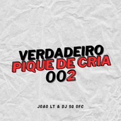 VERDADEIRO PIQUE DE CRIA 002 ( DJs JOÃO LT E SG OFC )