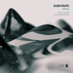 Substrate Vol.2 | Deep Liquid Drum & Bass Mix