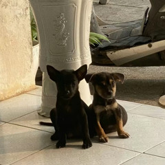 Có Chi Đâu Mà Buồn - Phát Huy T4 - Dkhoii