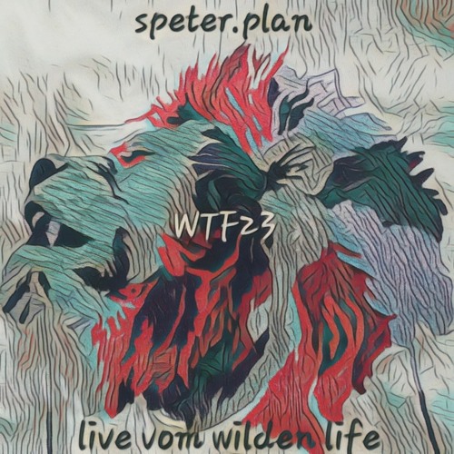 Stream Wild Things Festival Listen to Wild Things Festival 2023