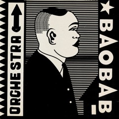 The Mighty Orchestra Baobab