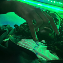 PRINCE CJ - EVERYTHING DEAD