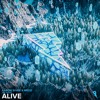 下载视频: Aaron Shirk X MEDZ - Alive (feat. Liel Kolet)