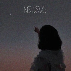 NO LOVE