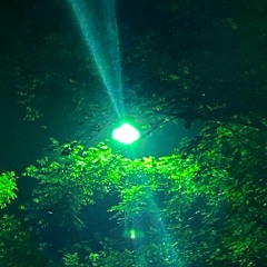 the taste of a burnt pop tart