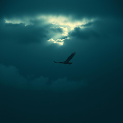 Land of LIberty (dark)