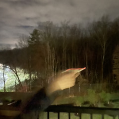 Stagnant Resistance (Explicit) (Demo)