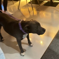 Myint @ Carmela Coffee 12.19.25